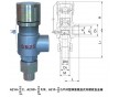 安全閥A21H-16C，廣州鑄鋼螺紋安全閥