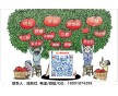 瓊脂 藥用級瓊脂 國內(nèi)新品