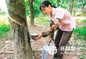 今日天然橡膠走勢分析